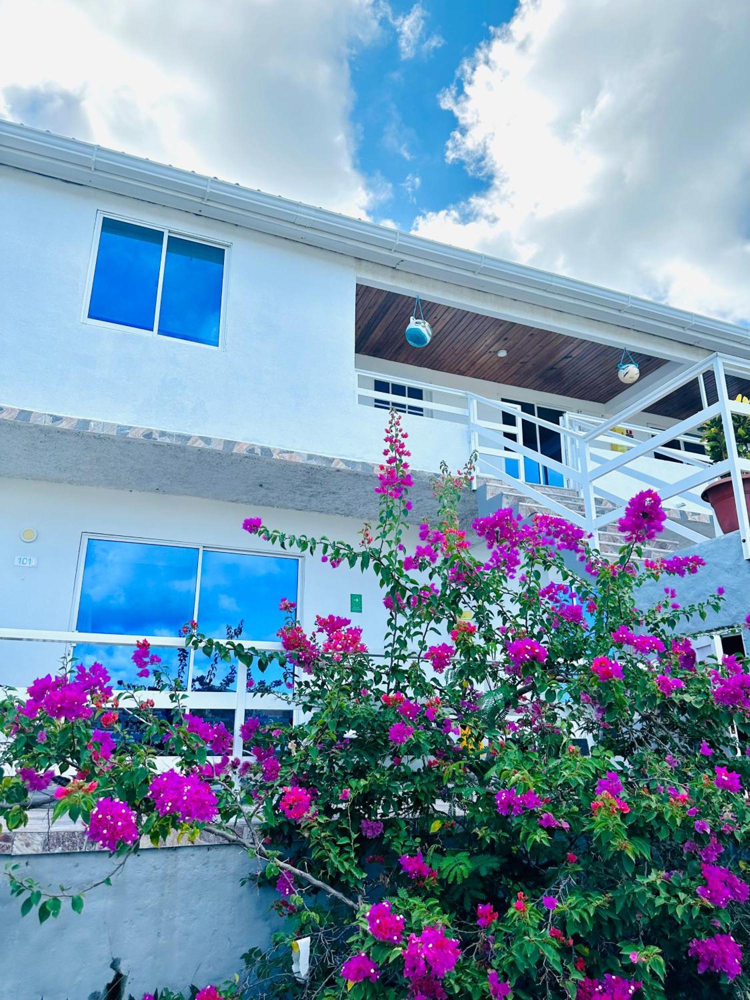 Posada Lkjay Providencia Isla Экстерьер фото